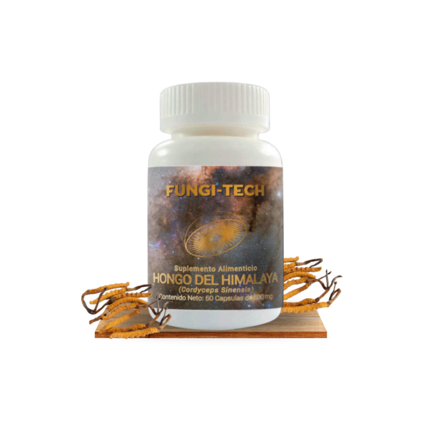 HONGO DEL HIMALAYA (CORDYCEPS)